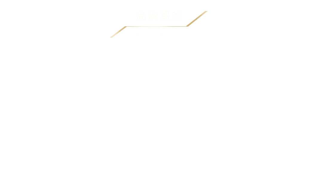 品牌概述